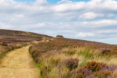 Percy Cross Rigg ve Kildale yakınlarındaki Kuzey York Moors arazisi, Kuzey Yorkshire, İngiltere, İngiltere