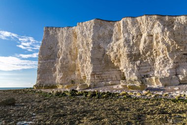 Seaford, Doğu Sussex, İngiltere, İngiltere yakınlarındaki Hope Gap 'te uçurum ve sahil.