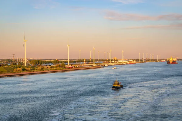 Rotterdam Zuid Holland Nederland Mei 2019 Uitzicht Schepen Het Calandkanaal — Stockfoto