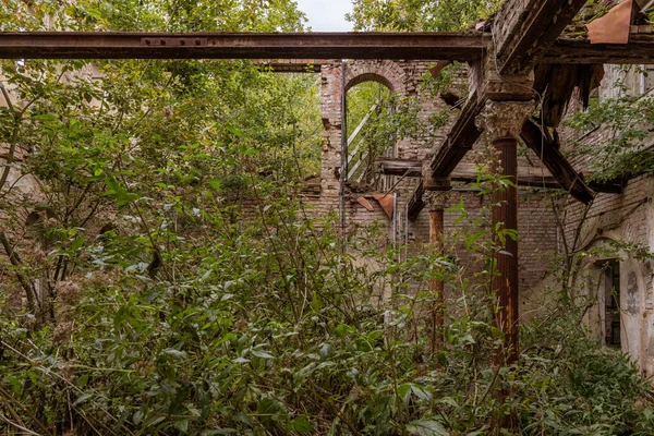 Sassnitz Mecklemburgo Pomerânia Ocidental Alemanha Outubro 2020 Restos Arruinado Castelo — Fotografia de Stock