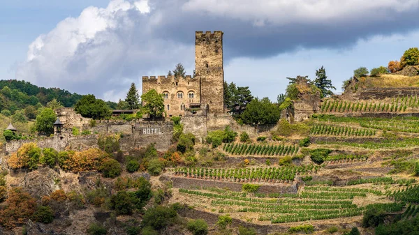 Kaub Rhineland Palatinate Germany August 2020 Castle Gutenfels Surrounding Vineyards — Stock Photo, Image