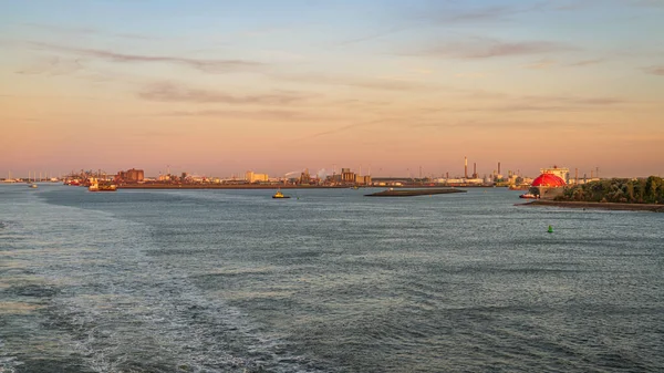 Rotterdam Jižní Holandsko Nizozemsko Května 2019 Večerní Světlo Nad Europoortem — Stock fotografie