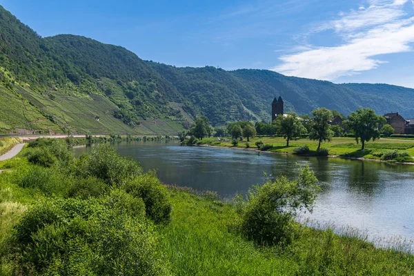 Valwig Rhineland Palatine Germany June 2021 View Moselle Valley Town — Stock Photo, Image