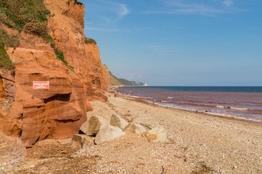 The Esplanade, Sidmouth, Jurassic Coast, Devon, İngiltere 'den kayalıkların ve çakıl taşı plajlarının yakınında bir paraglider.