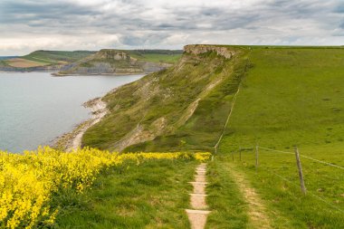 Emmett 's Hill, Jurassic Coast, Dorset, İngiltere' ye doğru yürüyorum.