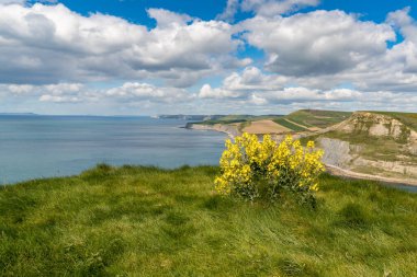 Jurassic Sahili üzerinden, Jurassic Sahili yakınlarından, Jurassic Sahili, Dorset, İngiltere