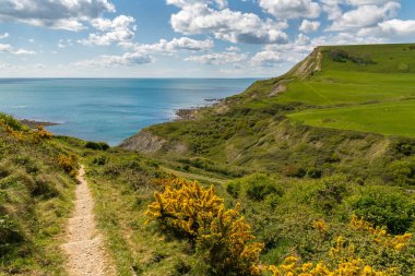 Chapman 's Pool yakınlarındaki Güney Batı Sahil Yolu, Worth Matravers, Jurassic Coast, Dorset, İngiltere