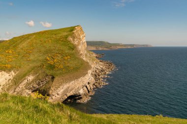 Worbarrow Körfezi ile Brandy Körfezi arasındaki Güney Batı Yakası Yolu 'nda Dorset, İngiltere' de görülen Jurassic Coast 'taki kayalıklar.