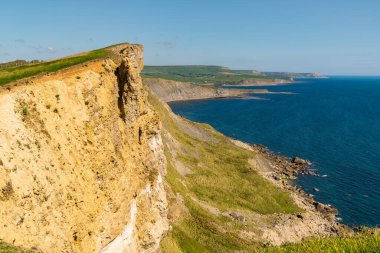 Worbarrow Körfezi ile Brandy Körfezi arasındaki Güney Batı Yakası Yolu 'nda Dorset, İngiltere' de görülen Jurassic Coast 'taki kayalıklar.