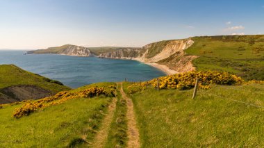 Güney Batı Yakası Yolu 'nda yürüyor, Worbarrow Körfezi' ne bakıyor, Tyneham, Jurassic Coast, Dorset, İngiltere yakınlarında.