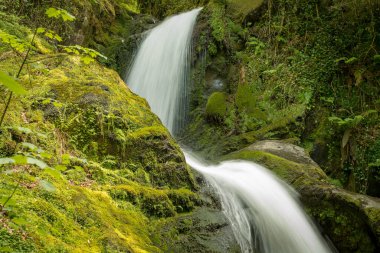 Dolgoch yakınlarındaki şelaleler, Gwynedd, Galler, İngiltere