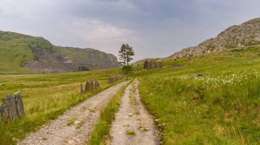 Blaenau Ffestiniog yakınlarındaki Capel Rhosydd harabesi, Gwynedd, Galler, İngiltere - arka planda Cwmorthin Quarry