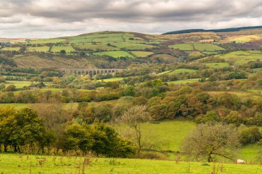 Carmarthenshire 'da Cynghordy yakınlarındaki manzara Dyfed, Wales, İngiltere - arka planda Cynghordy Demiryolu Viyadüğü ile
