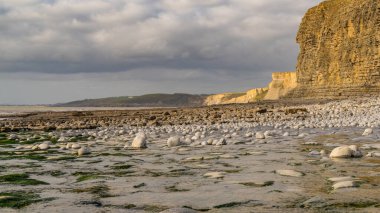Monknash Sahili 'nin taşları ve uçurumları, Glamorgan Vadisi, Galler, İngiltere