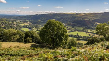 Landscape seen from the Panorama Walk near Llangollen, Denbighshire, Wales, UK clipart