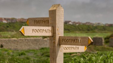 Seaford, Doğu Sussex, İngiltere yakınlarındaki Tide Mills 'de görülmüş.