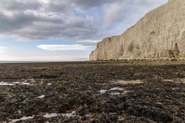 Seaford yakınlarındaki Hope Gap uçurumları, Doğu Sussex, İngiltere