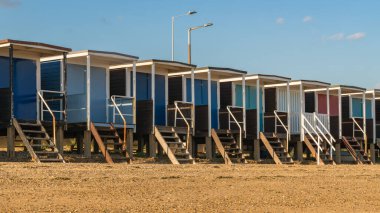 Sahildeki çakıl taşlı plajda Essex, İngiltere ve İngiltere 'de görülmüş.