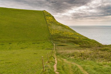 Güney Batı Yakası Yolu 'ndaki Emmett Tepesi' nde Yürürken, Jurassic Coast, Dorset, İngiltere