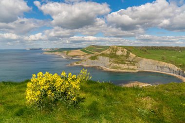 Jurassic Sahili üzerinden, Jurassic Sahili yakınlarından, Jurassic Sahili, Dorset, İngiltere