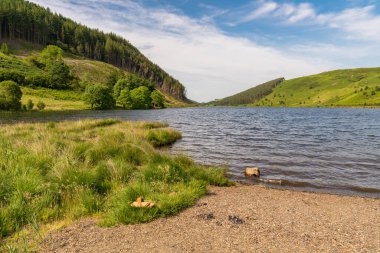 Llyn Geirionydd 'e bak. Llanwrst, Conwy, Clwyd, Wales, İngiltere yakınlarında.