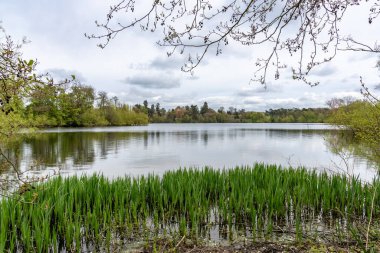 Mere nehri üzerinde, Ellesmere yakınlarında, Shropshire, İngiltere