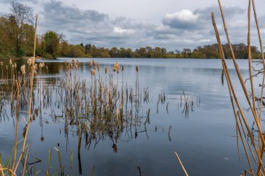 Mere nehri üzerinde, Ellesmere yakınlarında, Shropshire, İngiltere