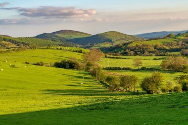 Shelve yakınlarındaki manzara, Shropshire, İngiltere, İngiltere