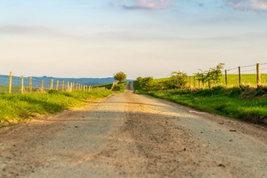 Newcastle ve Dutlas arasındaki kırsal yol, Shropshire, İngiltere, İngiltere
