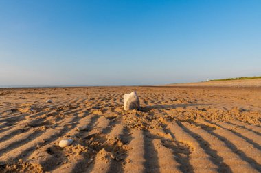 Galler kıyısında, Prestatyn, Denbighshire, Galler yakınlarındaki boş bir sahilde bir taş.