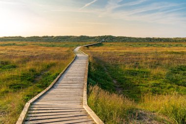 Denize giden yol Gronant Kumulları Doğa Koruma Alanı, Denbighshire, Galler, İngiltere
