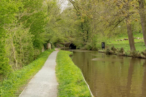 Llangollen Canal Ellesmere Shropshire England — стокове фото