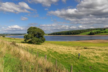Derwent Reservoir, Northumberland, İngiltere 'nin doğu yakasından batıya bakıyor.