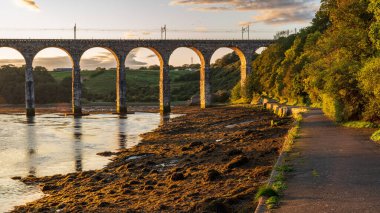 Berwick-upon-Tweed 'deki Kraliyet Sınır Köprüsü, Northumberland, İngiltere, İngiltere