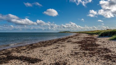 Kuzey Denizi Sahili ve Boulmer 'deki plaj Northumberland, İngiltere, İngiltere
