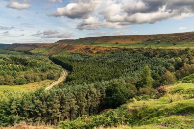 Newtondale 'deki Kuzey York Moors manzarası, Levisham Moor' dan, Kuzey Yorkshire, İngiltere, İngiltere