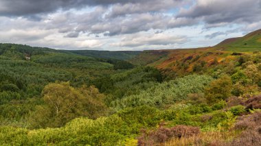 Newtondale 'deki Kuzey York Moors manzarası, Levisham Moor' dan, Kuzey Yorkshire, İngiltere, İngiltere