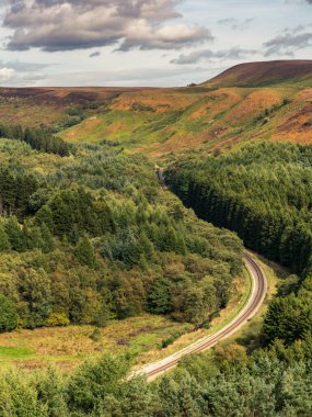 Newtondale 'deki Kuzey York Moors manzarası, Levisham Moor' dan, Kuzey Yorkshire, İngiltere, İngiltere