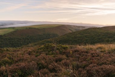 Porlock Hill, Somerset, İngiltere 'deki Exmoor Ulusal Parkı' nda akşam tozu.