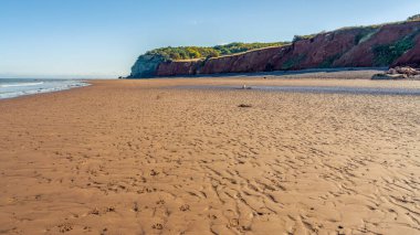 Blue Anchor, Somerset, İngiltere 'deki plaj Bristol kanalına bakıyor.