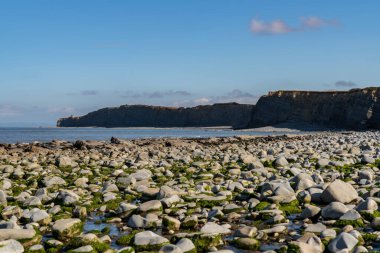 İngiltere, Somerset 'teki Kilve Beach' in taşları Bristol Kanalı 'na bakıyor.