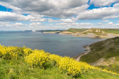 Jurassic Sahili üzerinden, Jurassic Sahili yakınlarından, Jurassic Sahili, Dorset, İngiltere