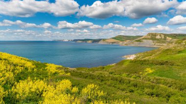 Worth Matravers, Jurassic Coast, Dorset, İngiltere yakınlarındaki Jurassic Coast manzarası