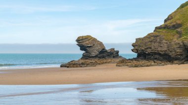 Llangrannog Plajı, Ceredigion, Dyfed, Wales, İngiltere 'deki uçurum kenarında.