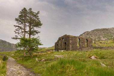 Blaenau Ffestiniog yakınlarındaki Capel Rhosydd harabesi, Gwynedd, Galler, İngiltere - Moel Yr Hydd arka planda