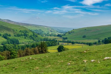 Halton Gill yakınlarındaki Yorkshire Dales arazisi. Kuzey Yorkshire, İngiltere, İngiltere 'deki bazı eski taş ahırlar.
