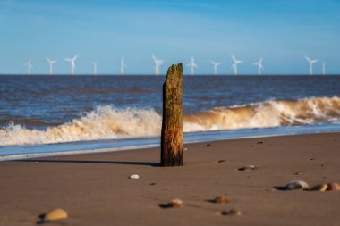 Kuzey kıyısı Caister-on-Sea, Norfolk, İngiltere - Sahilde bir dalga kırıcı ve arka planda rüzgar türbinleri ile