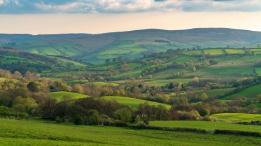 Newcastle ve Quabbs, Shropshire, İngiltere arasındaki manzara.