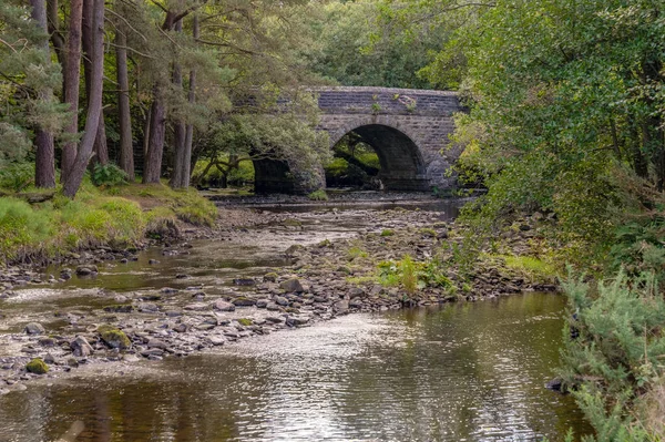 Derwent Nehri Üzerindeki Taş Köprü Baybridge Durham County Ngiltere — Stok fotoğraf
