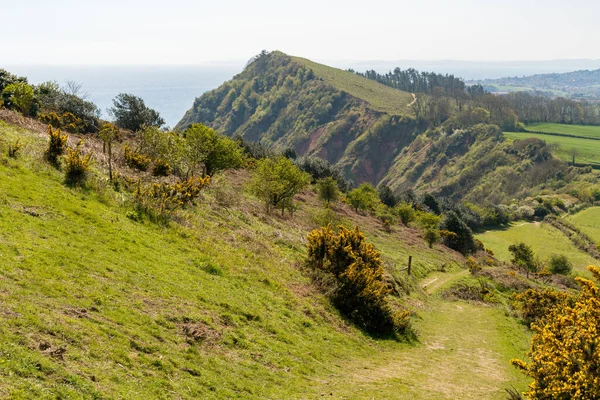 Jurassic Coast peyzajı Sidmouth yakınlarındaki Peak Hill, Jurassic Coast, Devon, İngiltere